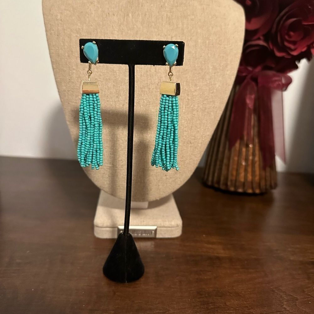 Premier Designs Faux Turquoise Tassel Earrings